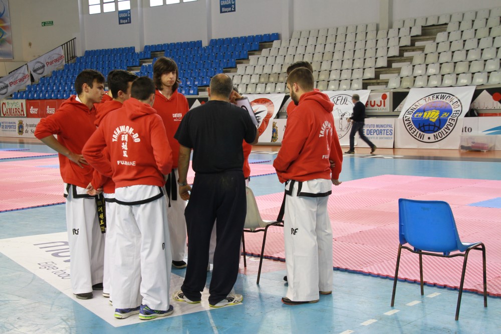 Taekwondo Dic 2016 (10).jpg